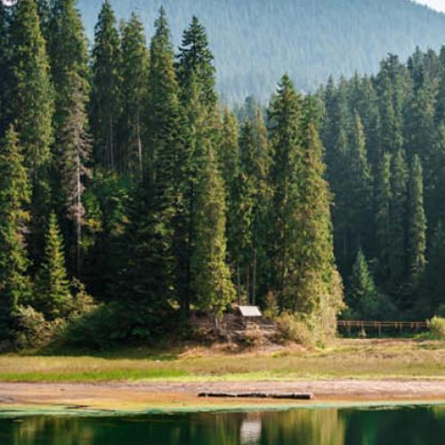 Régimen Jurídico de los Recursos Naturales y del Ambiente